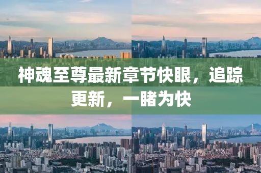 神魂至尊最新章节快眼，追踪更新，一睹为快