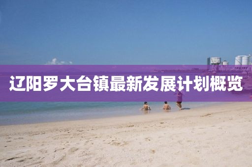 辽阳罗大台镇最新发展计划概览