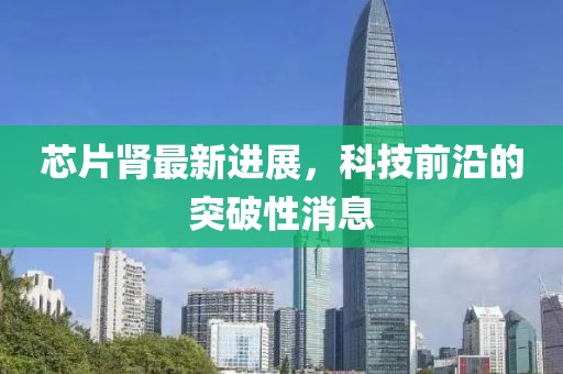 芯片肾最新进展，科技前沿的突破性消息