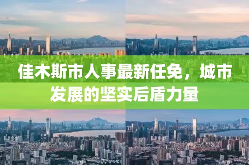 佳木斯市人事最新任免，城市发展的坚实后盾力量