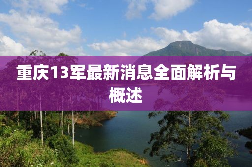 重庆13军最新消息全面解析与概述