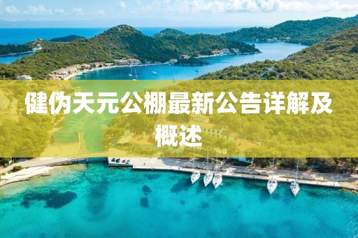 健伪天元公棚最新公告详解及概述