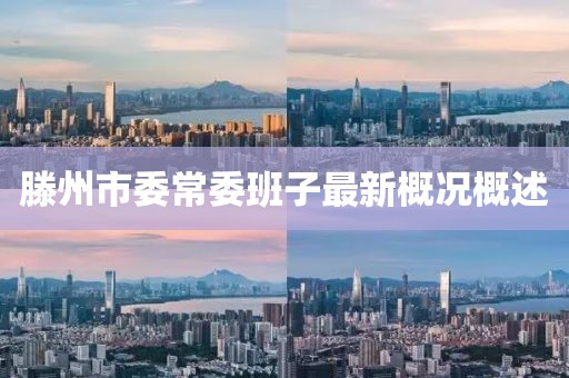 滕州市委常委班子最新概况概述