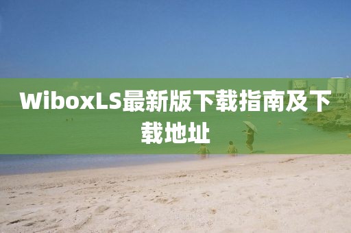 WiboxLS最新版下载指南及下载地址