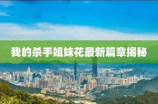 我的杀手姐妹花最新篇章揭秘