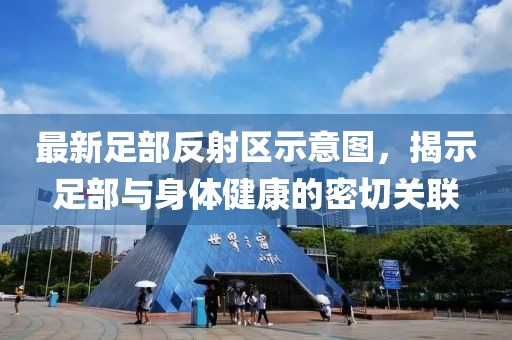 最新足部反射区示意图，揭示足部与身体健康的密切关联