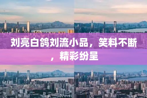 刘亮白鸽刘流小品，笑料不断，精彩纷呈