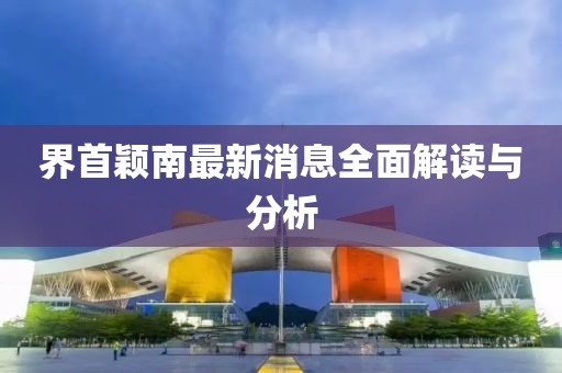 界首颖南最新消息全面解读与分析