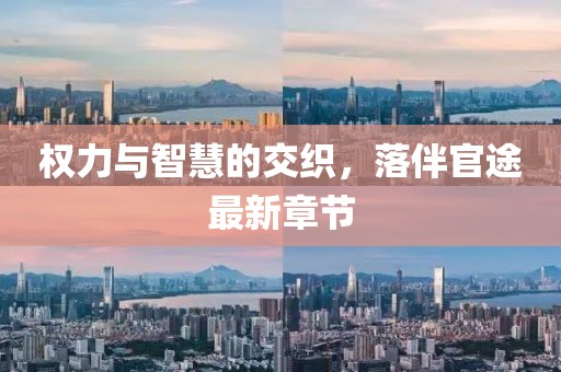 权力与智慧的交织，落伴官途最新章节
