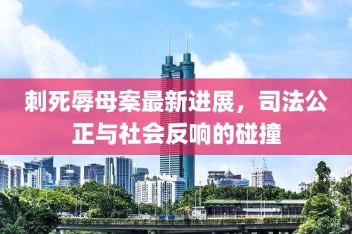 刺死辱母案最新进展，司法公正与社会反响的碰撞