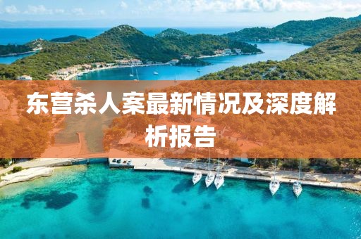 东营杀人案最新情况及深度解析报告