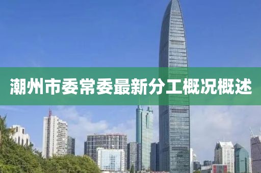 潮州市委常委最新分工概况概述