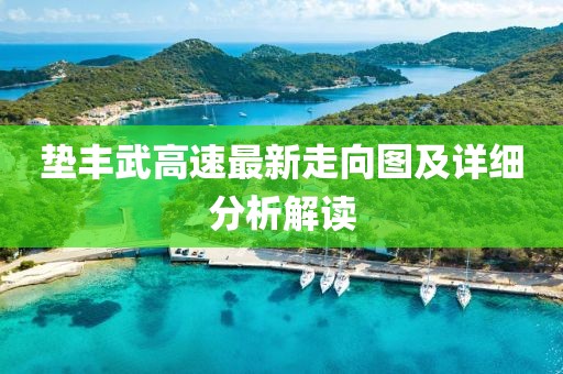 垫丰武高速最新走向图及详细分析解读