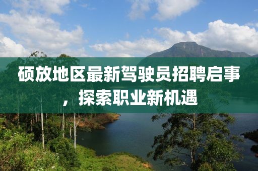 硕放地区最新驾驶员招聘启事，探索职业新机遇