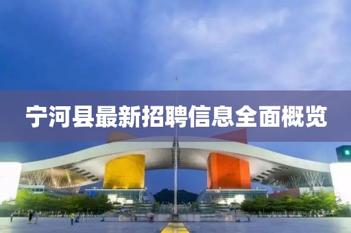 宁河县最新招聘信息全面概览