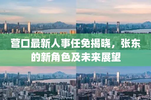 营口最新人事任免揭晓，张东的新角色及未来展望