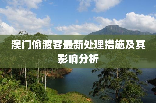 澳门偷渡客最新处理措施及其影响分析