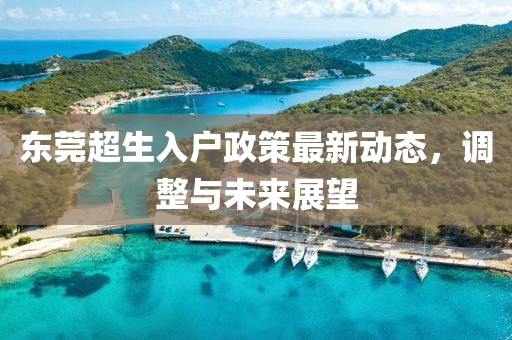 东莞超生入户政策最新动态，调整与未来展望