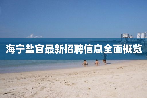 眉眼藏山河 第12页