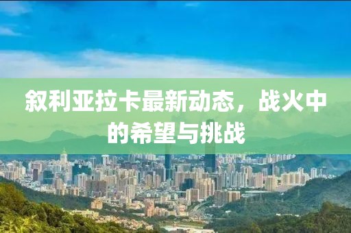 叙利亚拉卡最新动态，战火中的希望与挑战