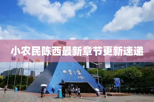 小农民陈西最新章节更新速递