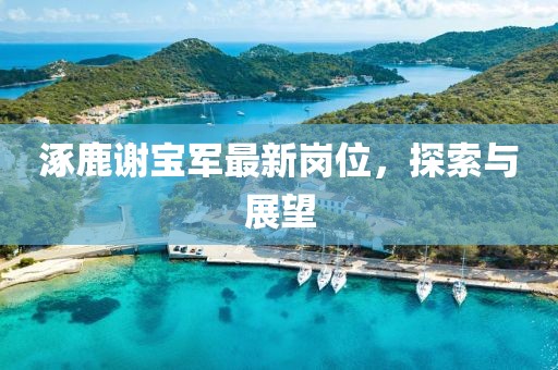 涿鹿谢宝军最新岗位，探索与展望