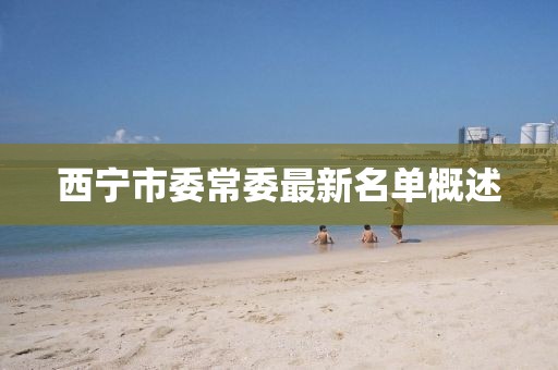 西宁市委常委最新名单概述