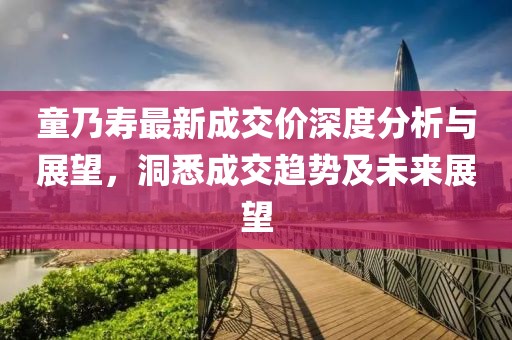 童乃寿最新成交价深度分析与展望，洞悉成交趋势及未来展望