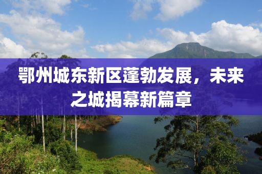 鄂州城东新区蓬勃发展，未来之城揭幕新篇章