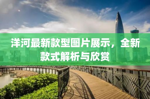 洋河最新款型图片展示，全新款式解析与欣赏
