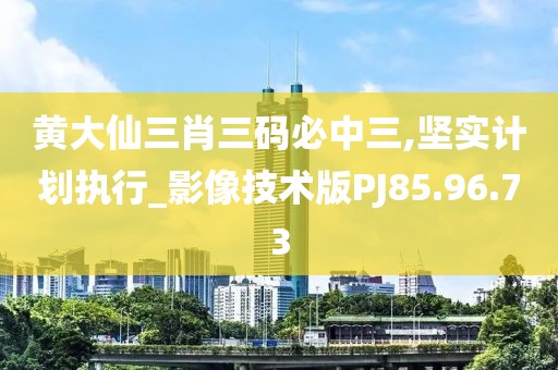 黄大仙三肖三码必中三,坚实计划执行_影像技术版PJ85.96.73