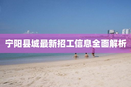 宁阳县城最新招工信息全面解析