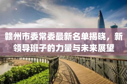 赣州市委常委最新名单揭晓，新领导班子的力量与未来展望