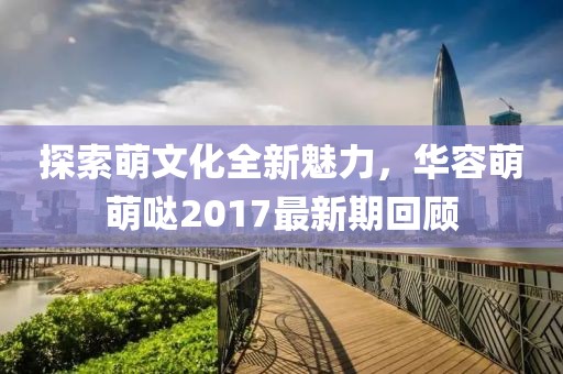 探索萌文化全新魅力，华容萌萌哒2017最新期回顾