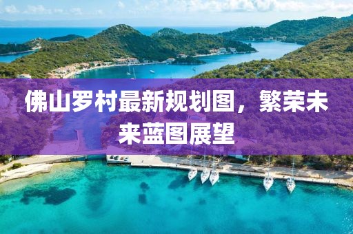 佛山罗村最新规划图，繁荣未来蓝图展望