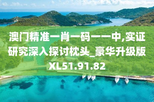 澳门精准一肖一码一一中,实证研究深入探讨枕头_豪华升级版XL51.91.82