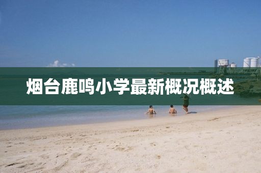 烟台鹿鸣小学最新概况概述