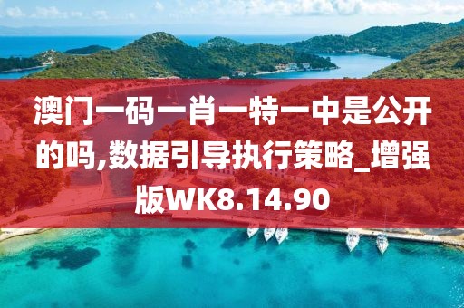 澳门一码一肖一特一中是公开的吗,数据引导执行策略_增强版WK8.14.90