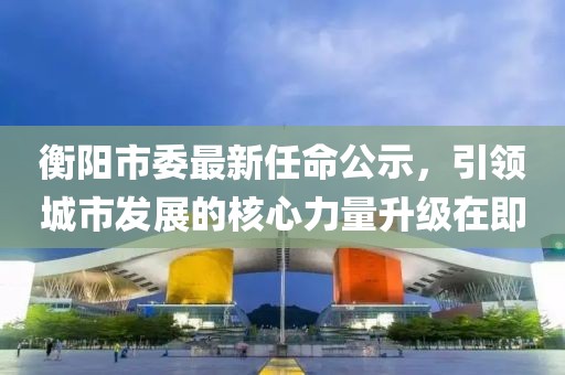 衡阳市委最新任命公示，引领城市发展的核心力量升级在即