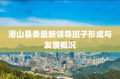 潜山县委最新领导班子形成与发展概况