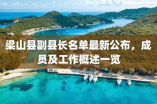 梁山县副县长名单最新公布，成员及工作概述一览