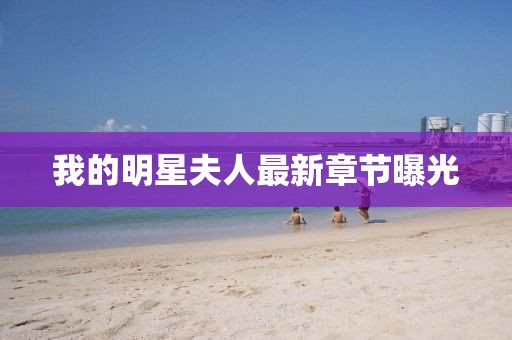 我的明星夫人最新章节曝光