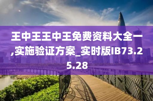 王中王王中王免费资料大全一,实施验证方案_实时版IB73.25.28