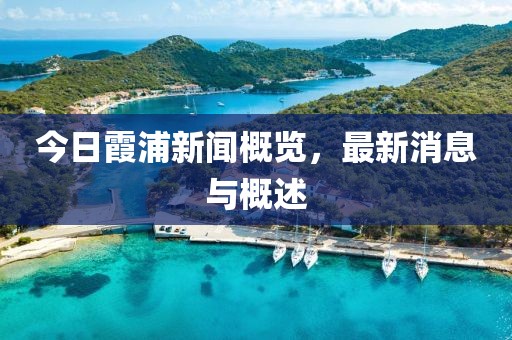今日霞浦新闻概览，最新消息与概述