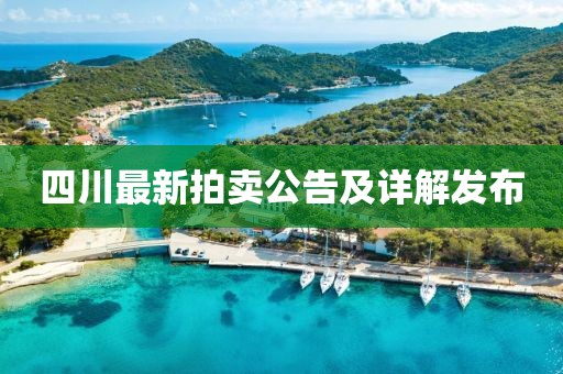 四川最新拍卖公告及详解发布