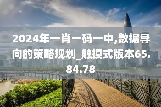 2024年一肖一码一中,数据导向的策略规划_触摸式版本65.84.78