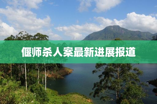 偃师杀人案最新进展报道