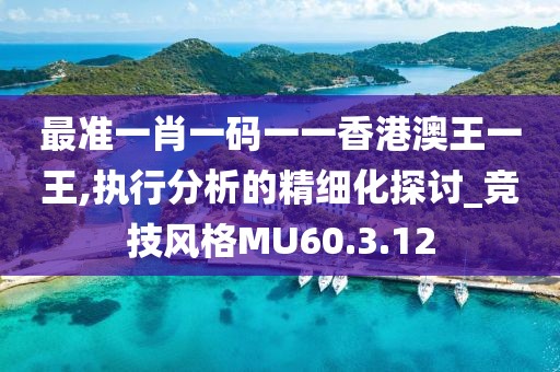 最准一肖一码一一香港澳王一王,执行分析的精细化探讨_竞技风格MU60.3.12