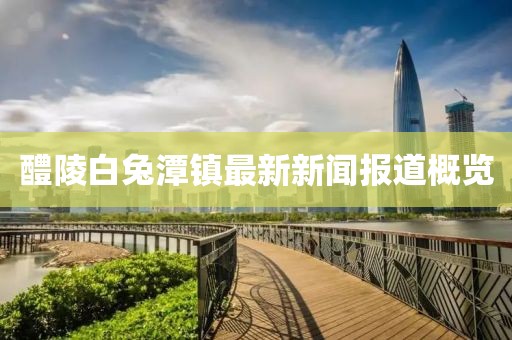 醴陵白兔潭镇最新新闻报道概览