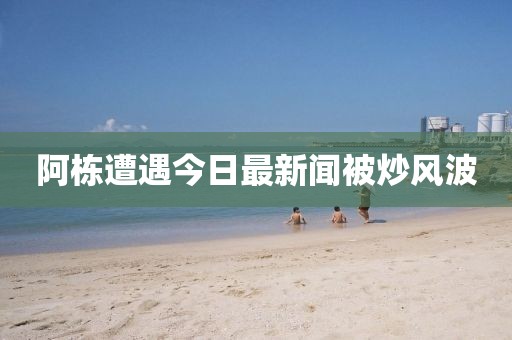 阿栋遭遇今日最新闻被炒风波